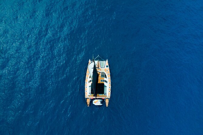 3 hrs. Whale Watching and Relaxing Chill Out Catamaran with glass floor - Why Tenerife’s Whale Watching Works Year-Round