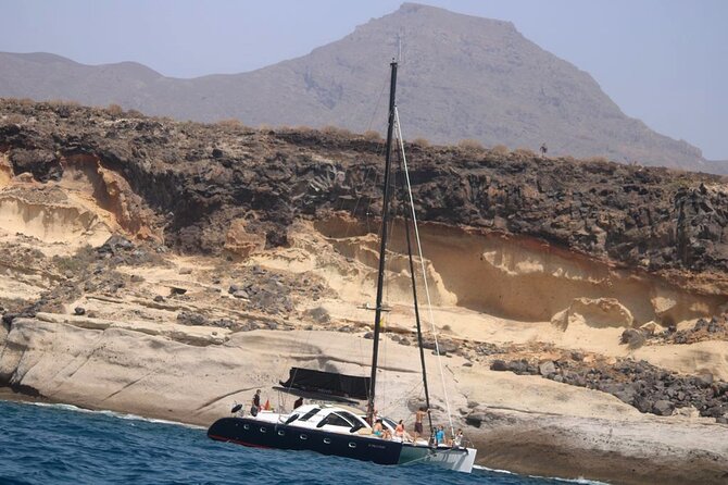 3 hrs. Whale Watching and Relaxing Chill Out Catamaran with glass floor - The Southwest Bay Stop: Nets, Cushions, and a Real Break