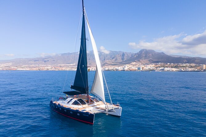 3 hrs. Whale Watching and Relaxing Chill Out Catamaran with glass floor - Sailing Back Along the West Coast: Views Without the Rush