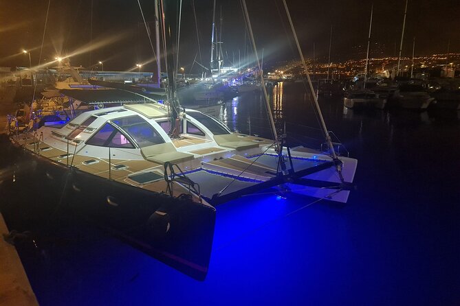 3 hrs. Whale Watching and Relaxing Chill Out Catamaran with glass floor - Price and Value: What You’re Really Paying For