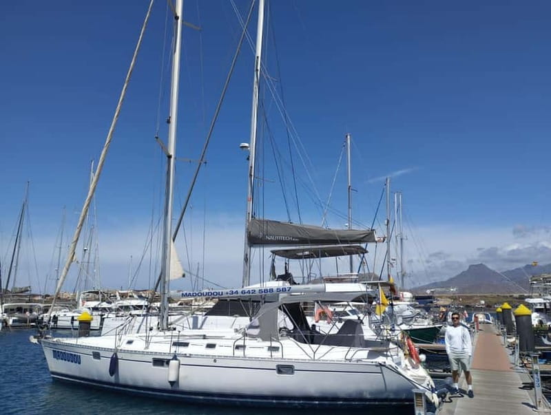 3h Whale Watching Private tour Beneteau Oceanis 440 - Key highlights worth your time