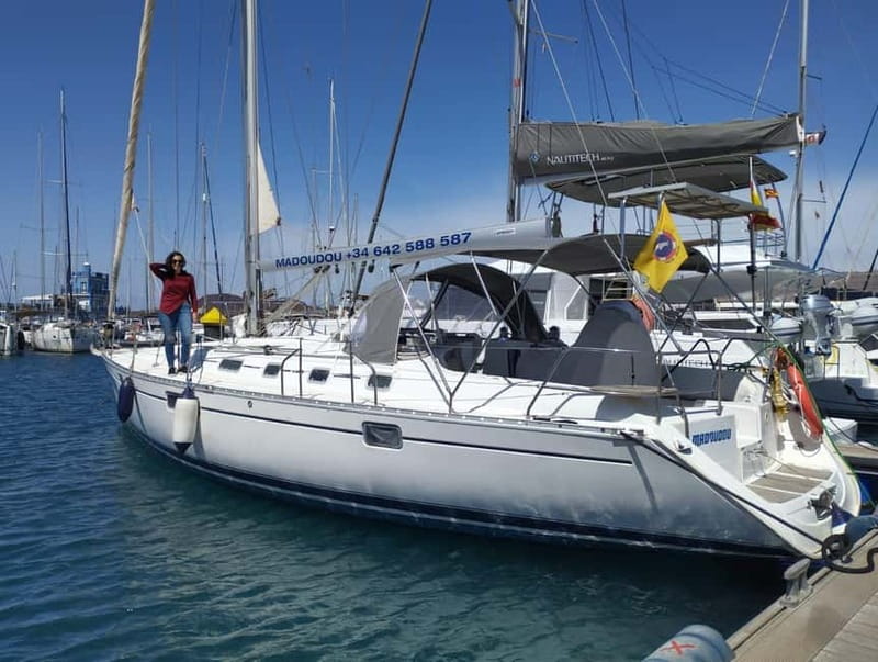 3h Whale Watching Private tour Beneteau Oceanis 440 - Why a private pilot-whale sail feels different in Tenerife’s south