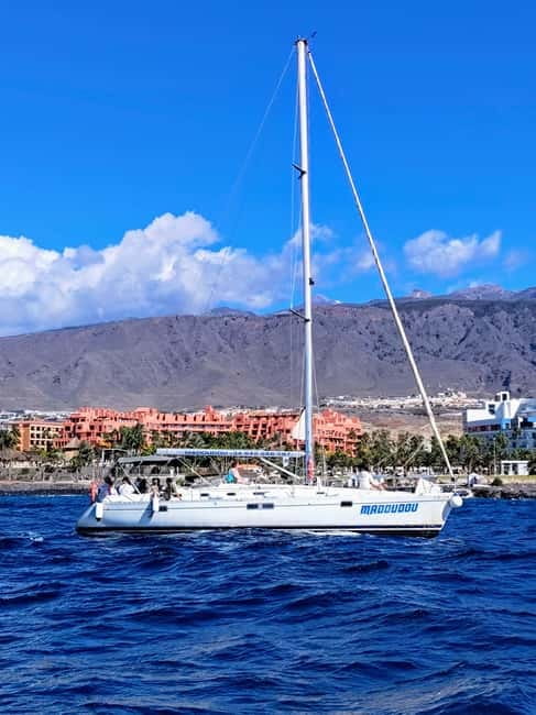 3h Whale Watching Private tour Beneteau Oceanis 440 - Getting to Puerto Colón: meeting point and van pickup that actually helps