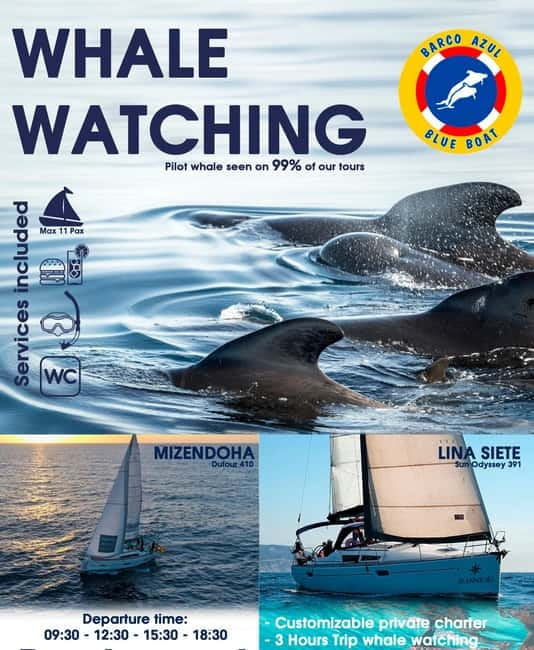 3h Whale Watching Private Tour Costa Adeje Lina7 Mizendoha - Dolphin watching and whale watching in a focused 15-minute window