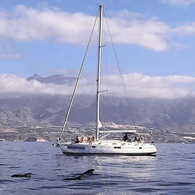 3h Whale Watching Share Tour Beneteau Oceanis 440 - Key things to know before you go