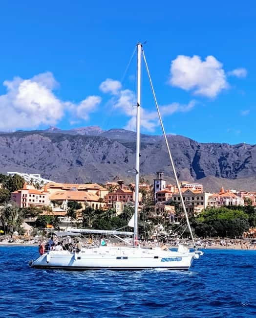 3h Whale Watching Share Tour Beneteau Oceanis 440 - Onboard Madoudou: Comfort on a Beneteau Oceanis 440