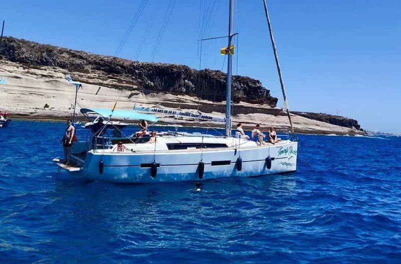 3h Whale watching Share Tour Costa Adeje Lina7 Mizendoha - Puerto Colón to the Wild Side: What this trip is really for