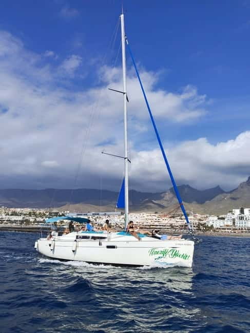 3h Whale watching Share Tour Costa Adeje Lina7 Mizendoha - Who this tour fits best (and who should think twice)