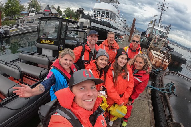 4 Hour Morning Whale Watching Tour - Weather and minimum load: plan for flexibility, not disappointment