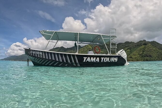 4 Hour Private Humpback Whales Encounter in Moorea - The ethical approach: safety and whale privacy aren’t “extras”