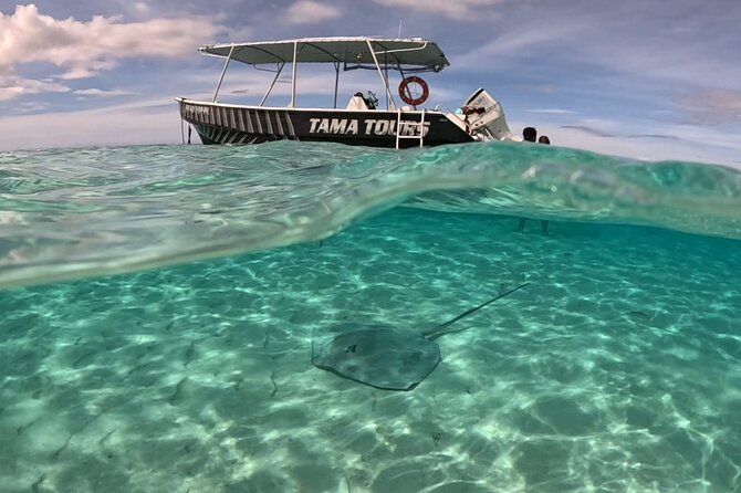 4 Hour Private Humpback Whales Encounter in Moorea - The boat-and-water moments: how to think about swimming vs. watching