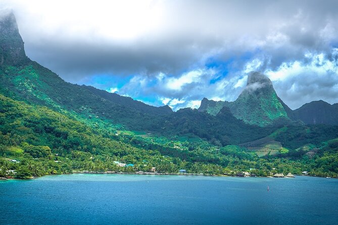 4 Hour Private Humpback Whales Encounter in Moorea - Crew + communication: why this tour feels more personal