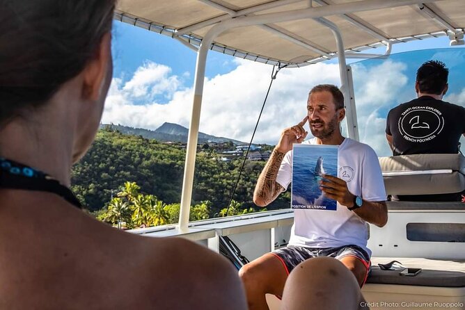 4 Hours of Humpback Whale Watching in Tahiti - Optional in-water snorkeling: when it happens and what to know first