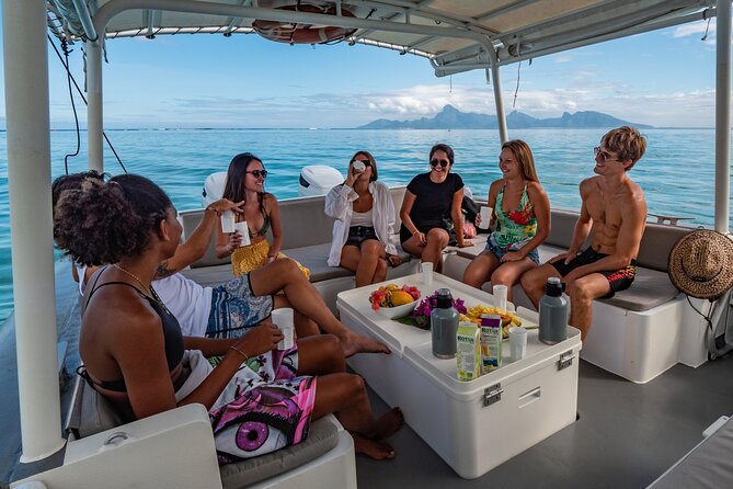 4 Hours of Humpback Whale Watching in Tahiti - Best fit: who should book this whale watching trip