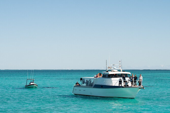 7 Hours Off Peak Whale Shark and Ningaloo Reef Tour in Exmouth - Meals, Photos, and the Real Value of $394.48