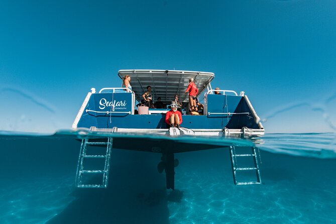 7 Hours Off Peak Whale Shark and Ningaloo Reef Tour in Exmouth - Weather and Wildlife Reality Check (Because You’re Not in Control)