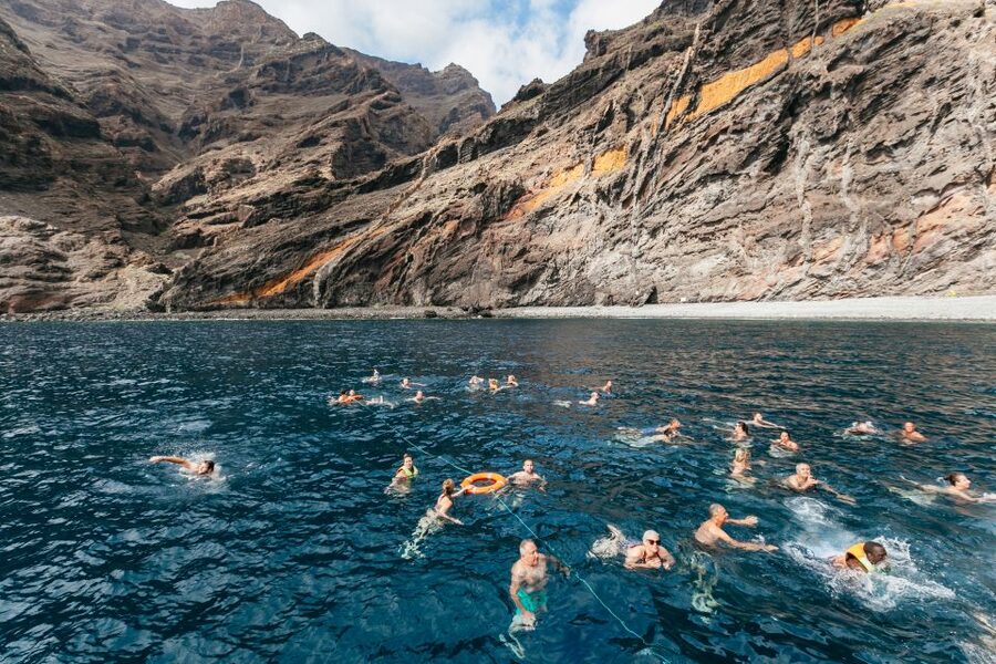 Adeje: Whale and Dolphin Watching Cruise with Lunch and Swim - Who this cruise fits best (and who should consider something else)