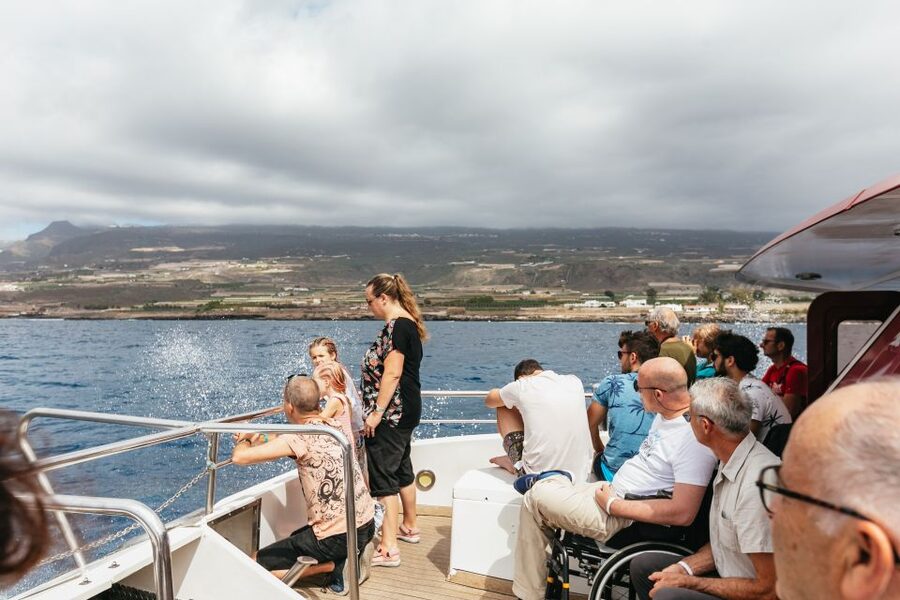 Adeje: Whale and Dolphin Watching Cruise with Lunch and Swim - The underwater viewing: 16 panoramic submarine windows plus glass-bottom views