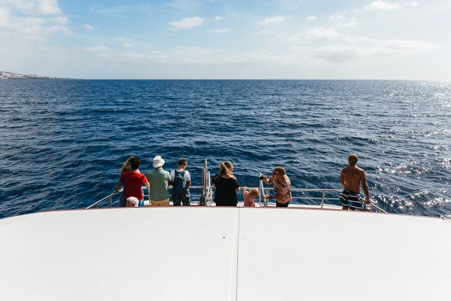 Adeje: Whale and Dolphin Watching Cruise with Lunch and Swim - Lunch and drinks: what’s actually included and why it matters at sea