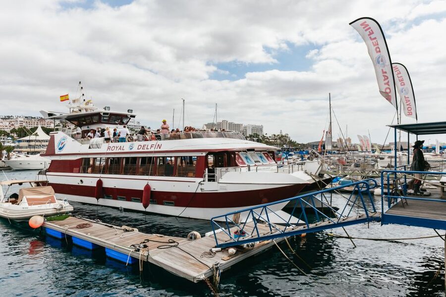 Adeje: Whale and Dolphin Watching Cruise with Lunch and Swim - Crew and guide style: multilingual and practical