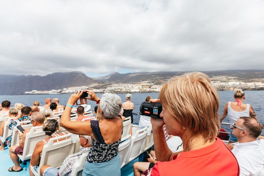 Adeje: Whale and Dolphin Watching Cruise with Lunch and Swim - Price and logistics: getting your money’s worth