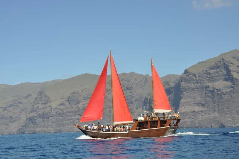 Adeje: Whale Watching, Lunch & Swim Stop at Los Gigantes - The ride, the rules, and the stuff you should pack