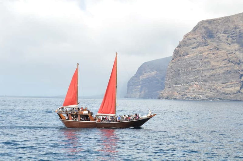 Adeje: Whale Watching, Lunch & Swim Stop at Los Gigantes - A smart way to decide: should you book this Shogun tour?