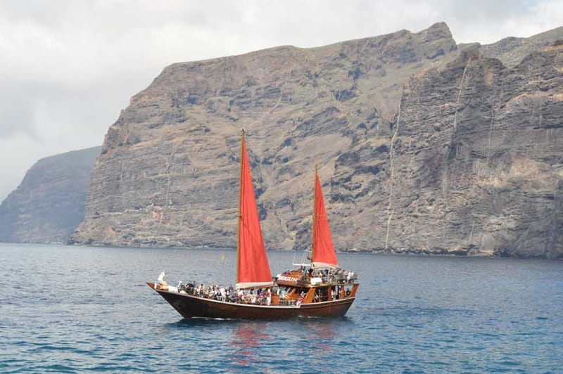 Adeje: Whale Watching Tour to Los Gigantes with lunch & swim - Key things I’d circle before you book