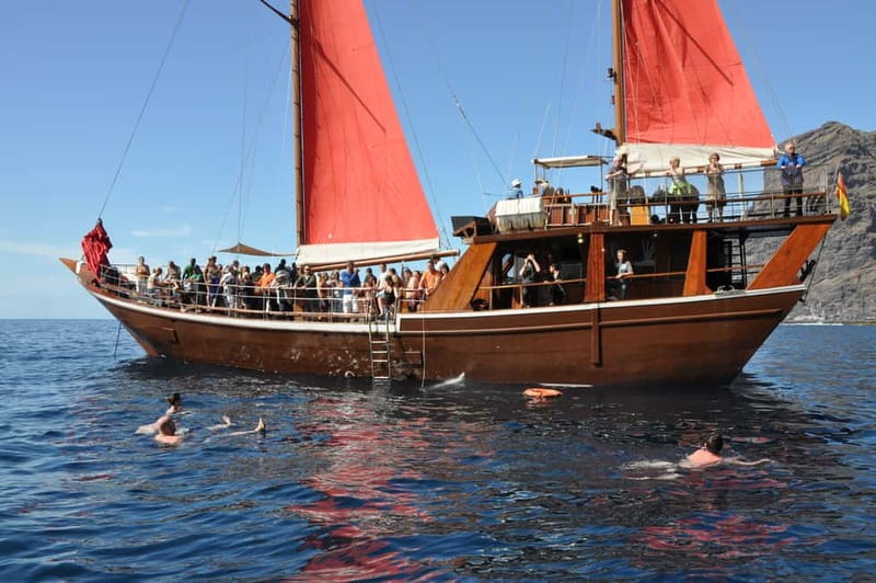 Adeje: Whale Watching Tour to Los Gigantes with lunch & swim - The swim stop: clear water time under the cliffs
