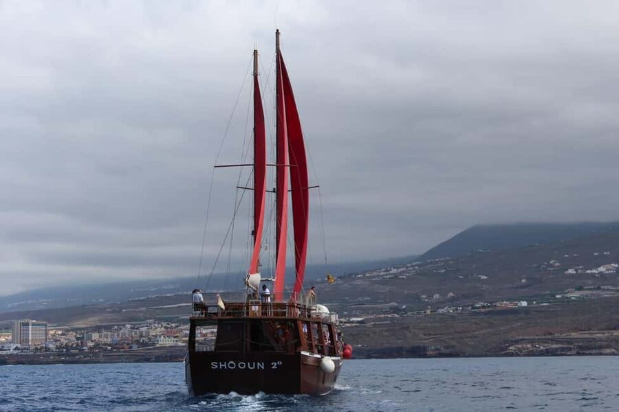 Adeje: Whale Watching Tour to Los Gigantes with lunch & swim - The guide and the on-board vibe: languages, music, and crew energy