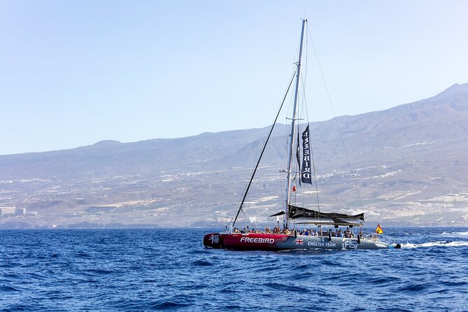 Adults Only Tenerife Freebird Whale Dolphin Catamaran with Lunch - What This 2-Hour Tenerife Cruise Really Feels Like