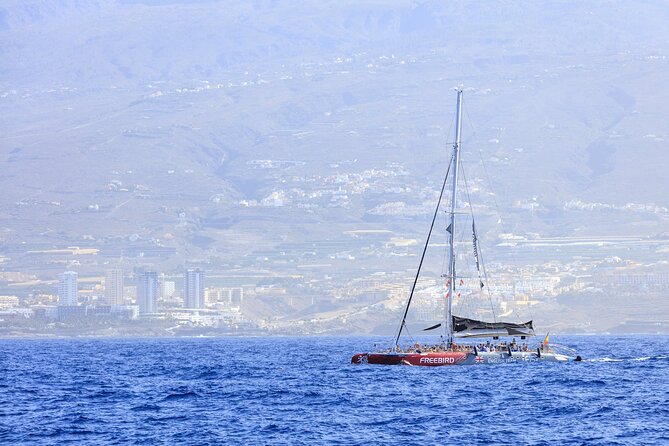 Adults Only Tenerife Freebird Whale Dolphin Catamaran with Lunch - Onboard Food and Drinks: Lunch Included, No Extra Run to the Shop