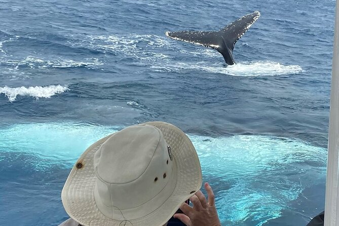 Adventure Whale Watching Tour Mooloolaba - Mooloolaba Beach: starting where the coastline already steals the show
