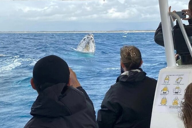 Adventure Whale Watching Tour Mooloolaba - Point Cartwright at the base of the headland: good views while you wait