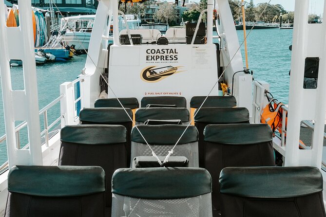 Adventure Whale Watching Tour Mooloolaba - The value play: why this feels worth the $71.01