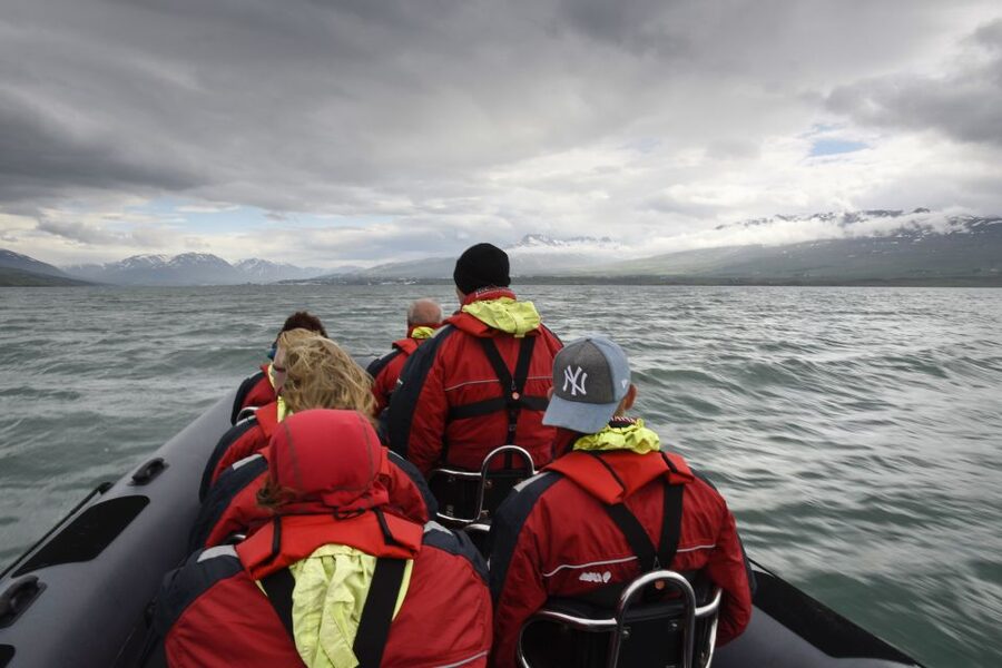 Akureyri: 2-Hour Whale Watching Express by RIB Speedboat - Price and value: what $200 buys in Akureyri