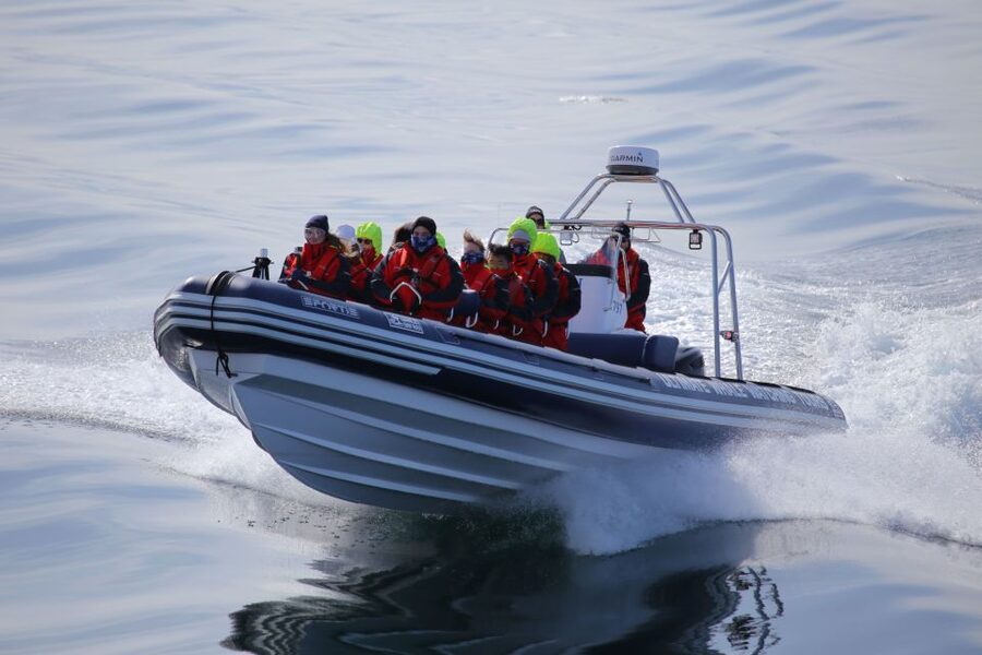 Akureyri: 2-Hour Whale Watching Express by RIB Speedboat - Who this tour is best for (and who should skip it)