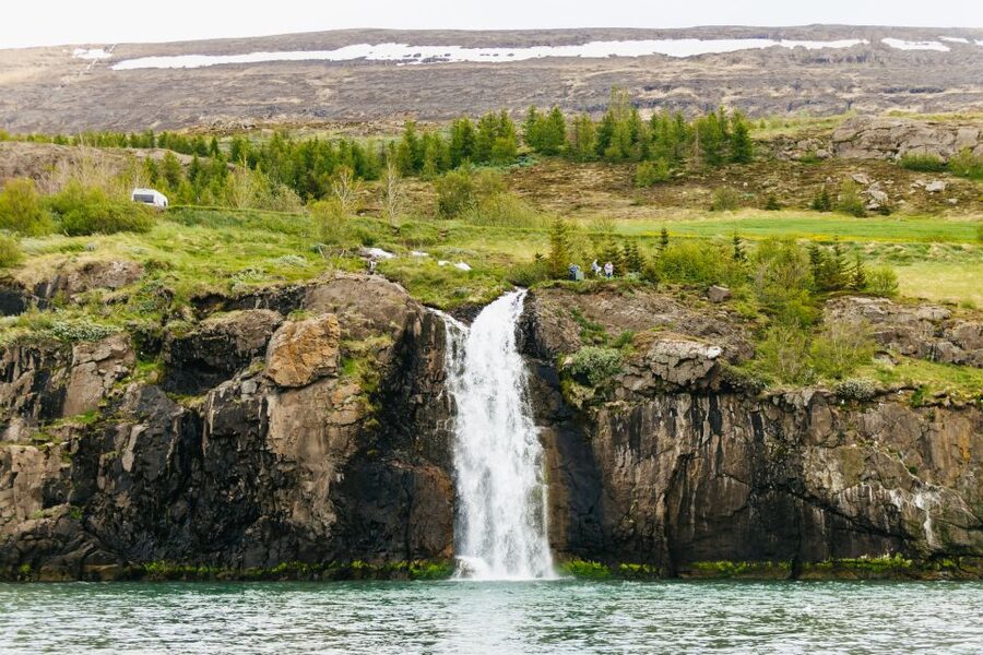 Akureyri: 3-Hour Classic Whale Watching Tour by Ship - Eyjafjord whale watching from Akureyri: what you’re really signing up for