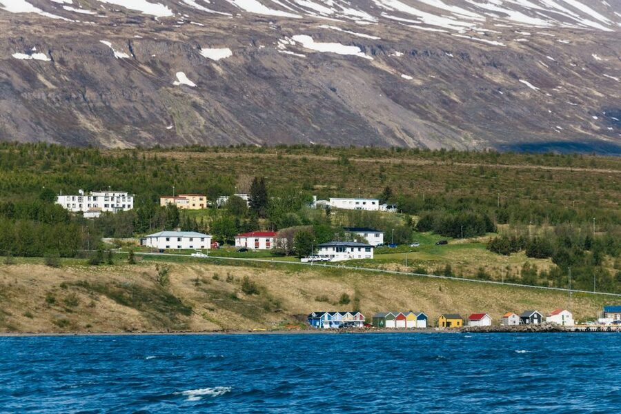 Akureyri: 3-Hour Classic Whale Watching Tour by Ship - The fjord cruise: what your 2.5 to 3.5 hours on the water feels like