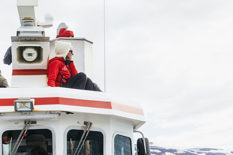 Akureyri: 3-Hour Classic Whale Watching Tour by Ship - Responsible whale watching: distance, noise, and why it helps your chances
