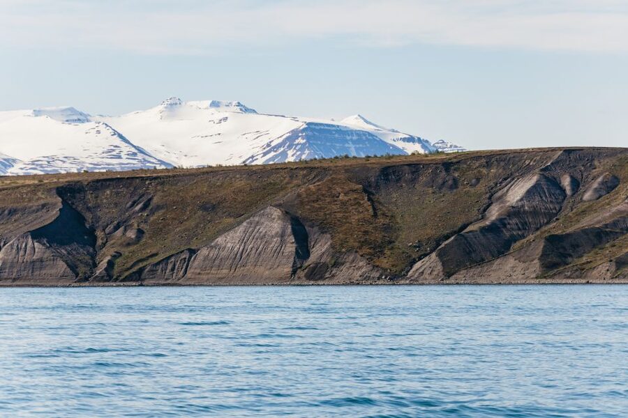 Akureyri: 3-Hour Classic Whale Watching Tour by Ship - If you don’t see whales: how the tour makes it right