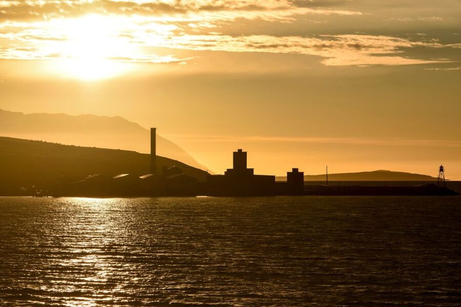 Akureyri: Whale Watching in the Midnight Sun - Using the online whale diary and tracking conditions