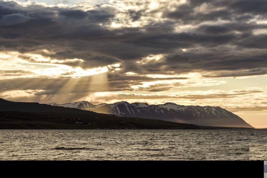 Akureyri: Whale Watching in the Midnight Sun - Comfort and sea-sickness reality check