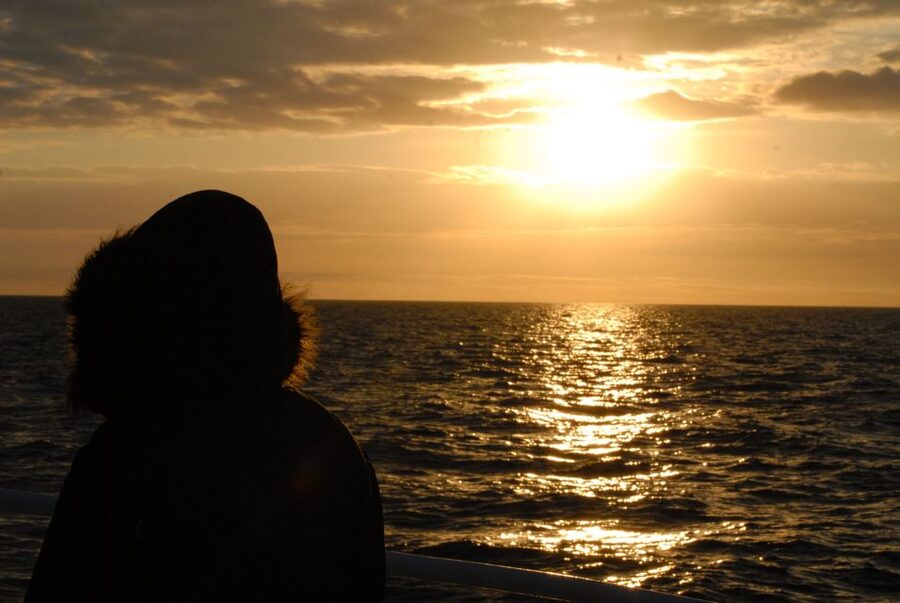 Akureyri: Whale Watching in the Midnight Sun - Price and value: is $101 per person fair?