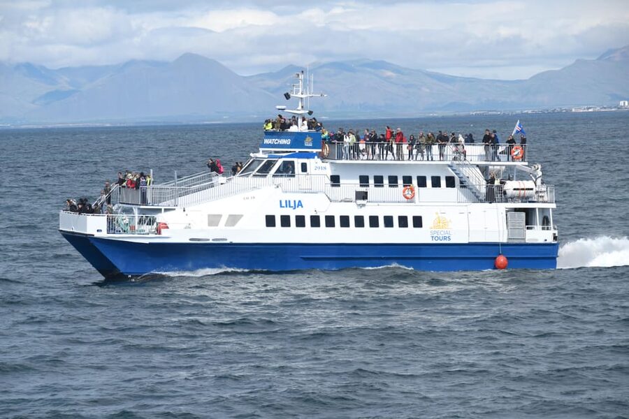 Akureyri: Whale Watching Tour & Forest Lagoon Entrance - Forest Lagoon entrance at 5 PM: why the timing works (and how to handle it)