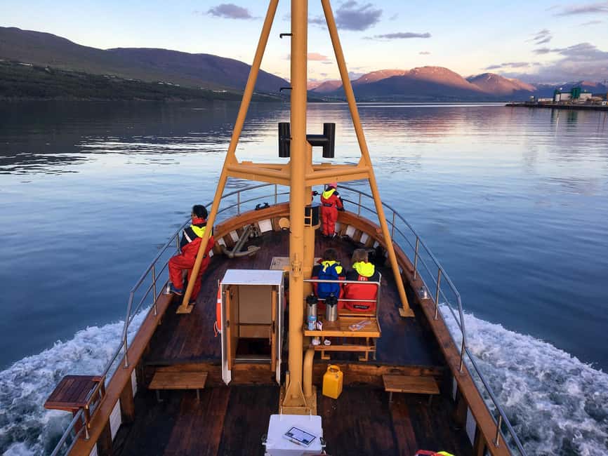 Akureyri: Whale Watching Tour with Transfer from Port - From Akureyri Cruise Port to Hauganes: the transfer that keeps your day easy