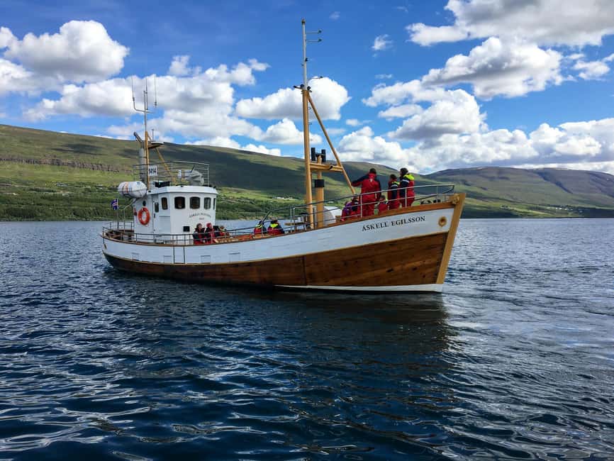 Akureyri: Whale Watching Tour with Transfer from Port - On board comfort: suits, hot drinks, Wi‑Fi, and washrooms