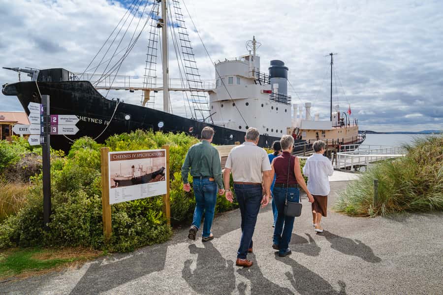 Albany's Whale Story - Cheynes IV whale chaser and the skeleton display moment