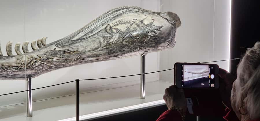 Albany's Whale Story - Is $99 good value for this 210-minute Albany whaling and coast tour?