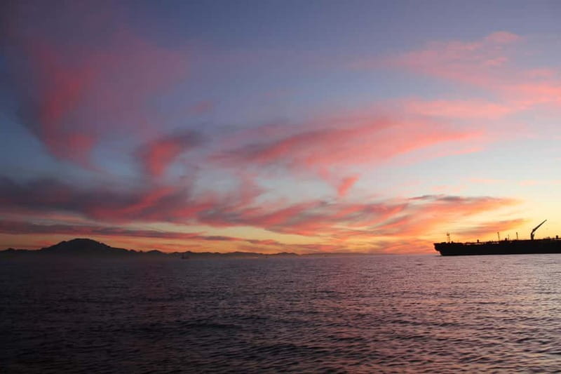Algeciras: Dolphin and whale watching in reduced groups - Fin whale chances: how to think about the seasonal odds